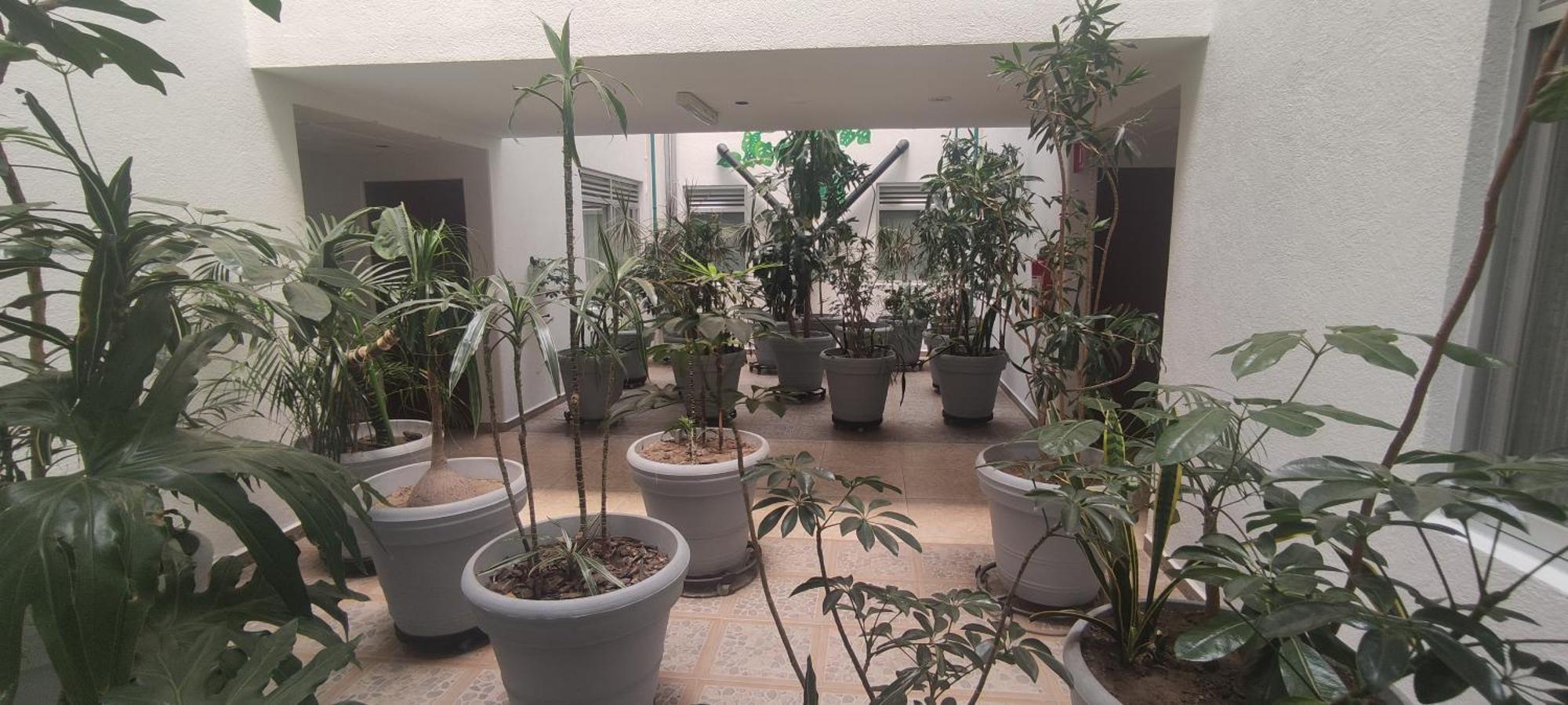 Hotel Habana 멕시코 시 외부 사진