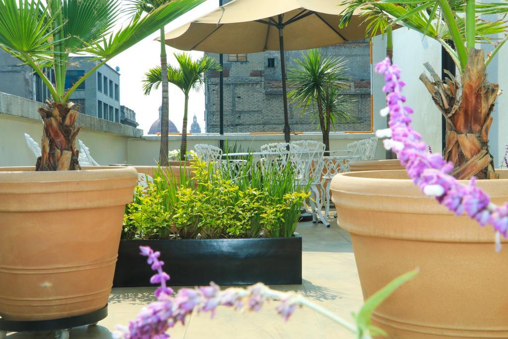 Hotel Habana 멕시코 시 외부 사진